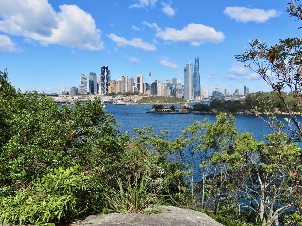 Cammeraygal Country (Balls Head Reserve, NSW) by Louise de Freitas.