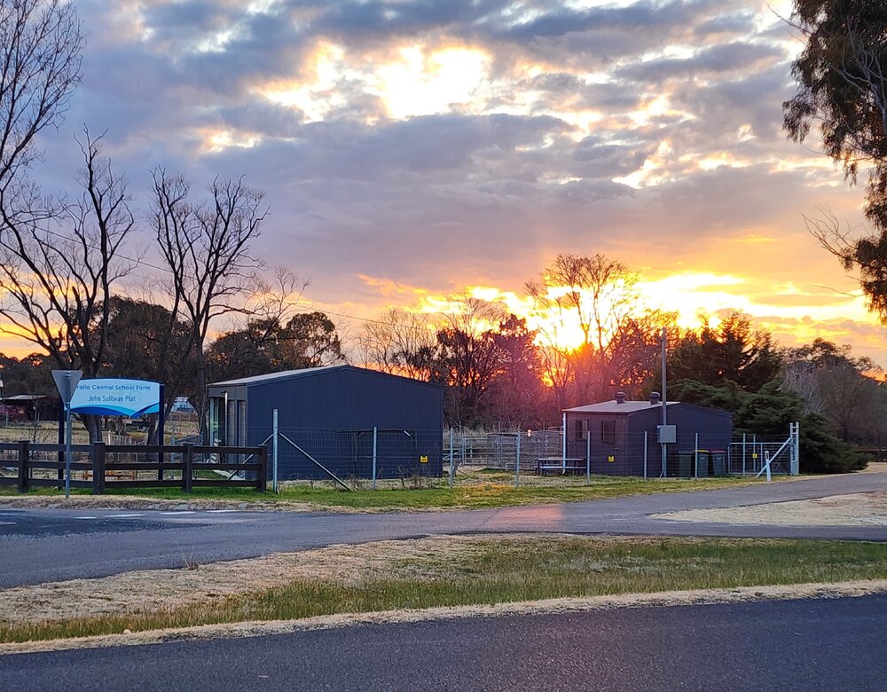 Anaiwan Country (Uralla, NSW) by Susan Lewis