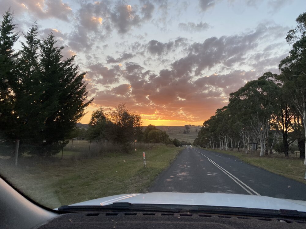 Wiradjuri Country (Orange, NSW) by Lucy Willis