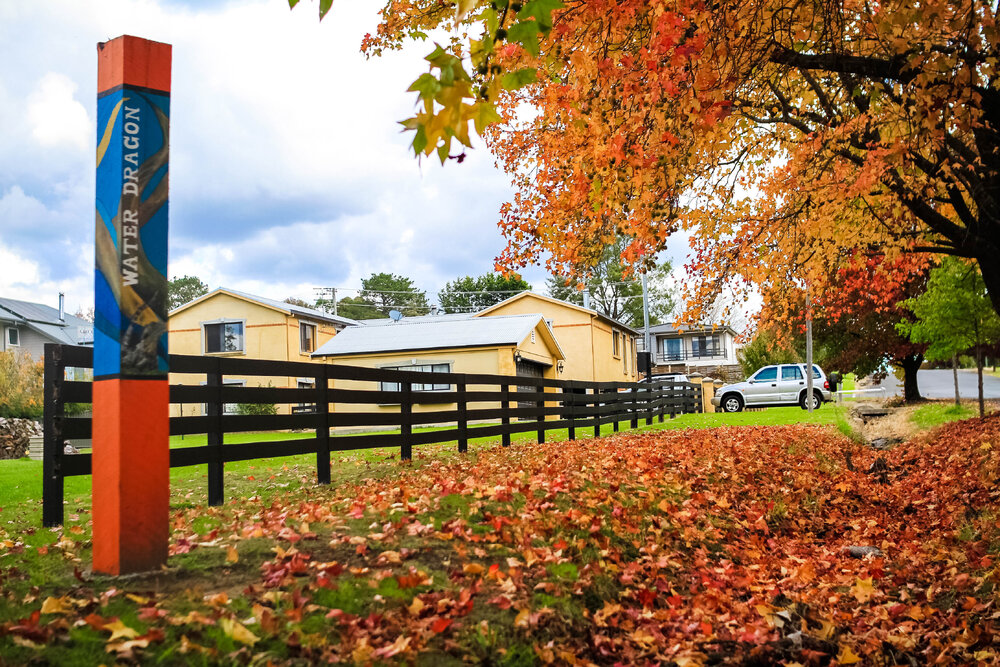 Aniwan Country (Uralla, NSW) by Thai Nguyen