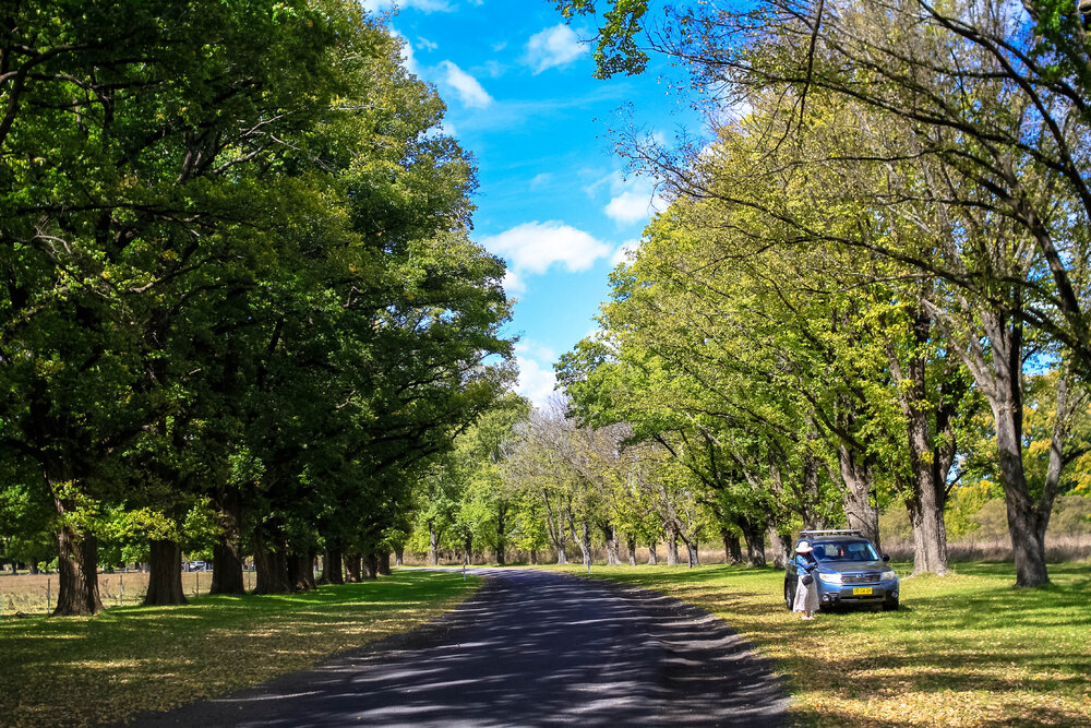 Aniwan Country (Uralla, NSW) by Thai Nguyen
