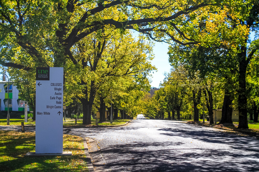 Anaiwan Country (Armidale, NSW) by Thai Nguyen