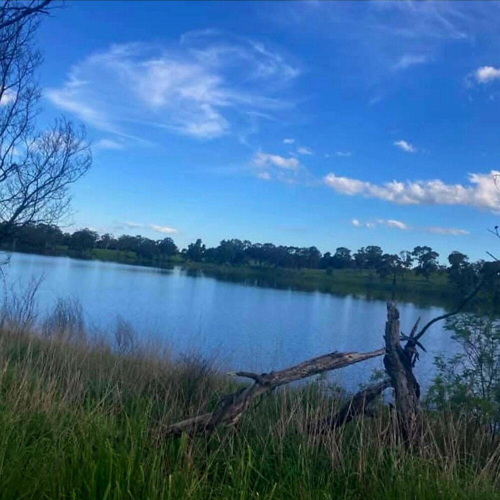 Wiradjuri Country (Orange, NSW)  by Cheyanne Lonsdale