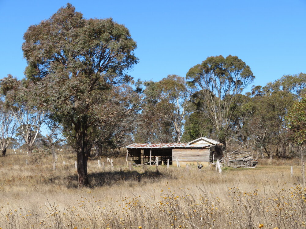 Banbai Country (Northern Tablelands, NSW) by Louise de Freitas