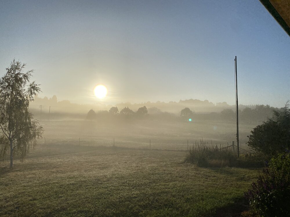  Wiradjuri Country (Orange, NSW) by Lucy Willis