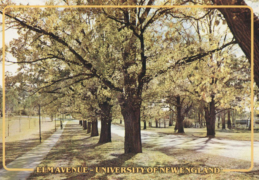 Elm Avenue, University of New England