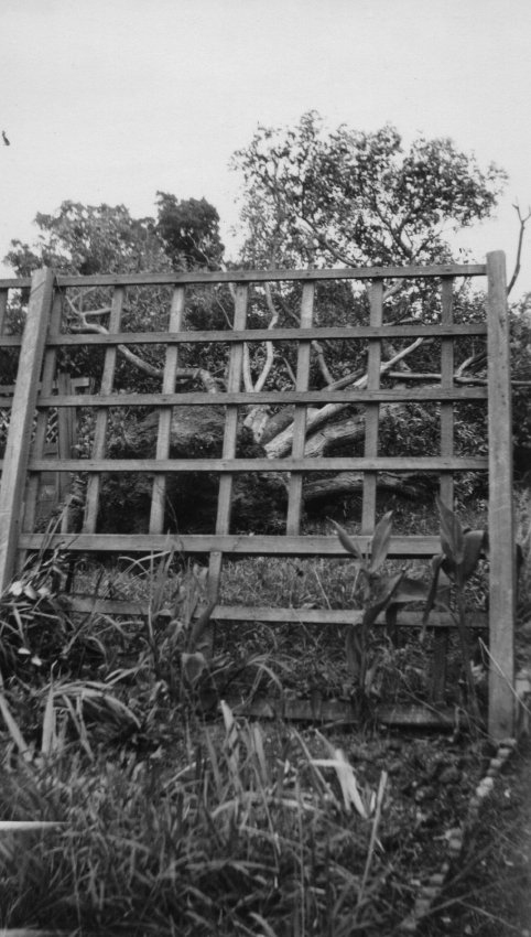 Storm damage, aftermath of tornado, Armidale, 1954