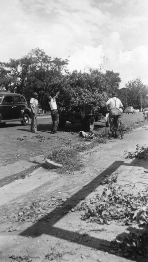 Cleanup of storm debris after tornado, Armidale, 1954
