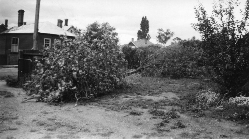 Aftermath of tornado, Armidale, 1954