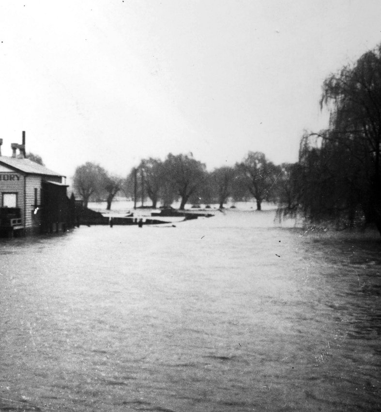 Dumaresq Creek in flood, near the Armidale Butter Factory, August 1949