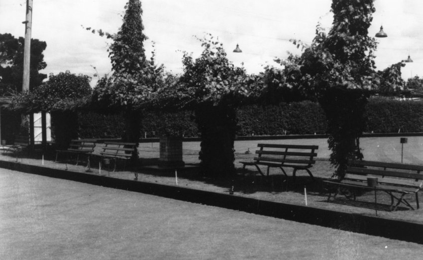 Armidale Bowling Club greens Beardy Street, 1980 