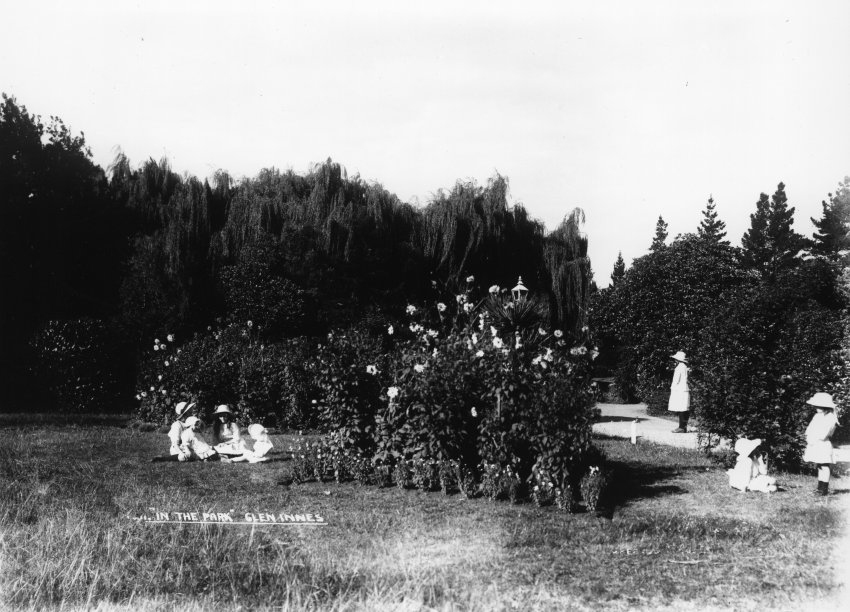 Park at Glenn Innes