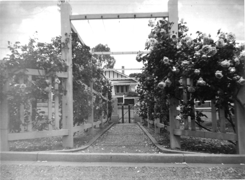 Armidale Teachers' College: Rose trellis, looking east towards Faulkner Street, c. 1940