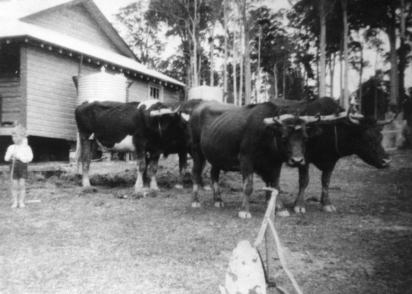 Cascade Public School, 1938