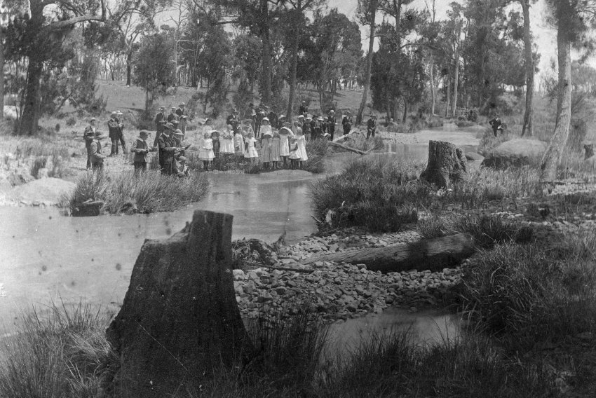 Pupils of Fladbury School on a nature study, Severn River