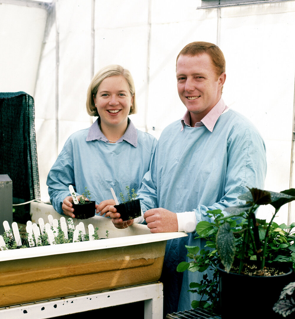 Agronomy hot house, UNE, 2000