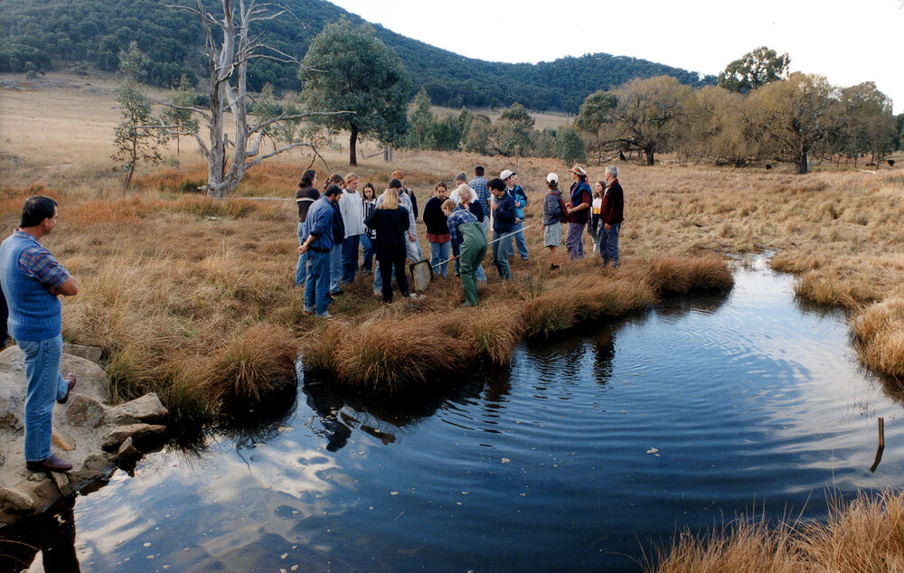 Newholme field trip, 1999