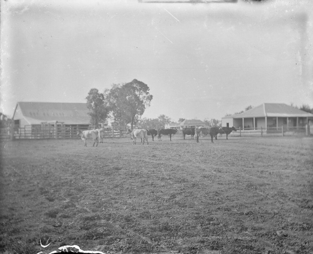 Welltown stable and store, 1905