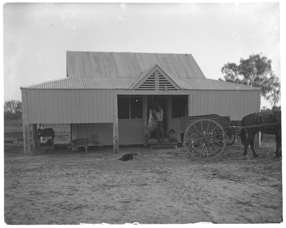 Butcher's shop, 1905