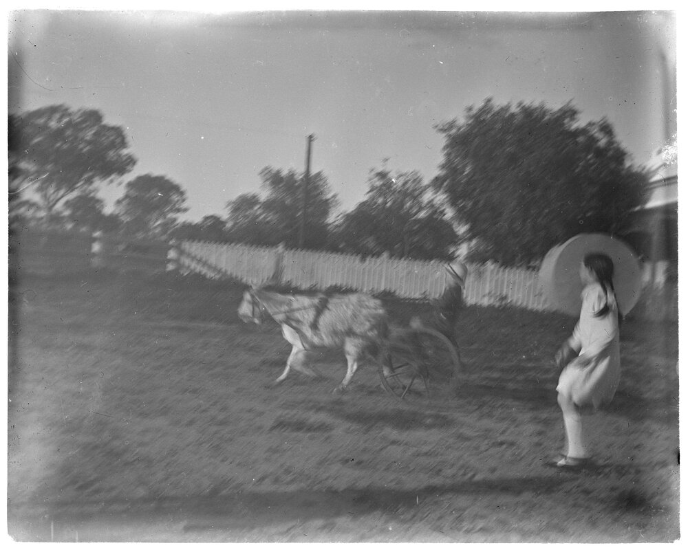 Girl chasing after a boy in a buggy being pulled by a goat