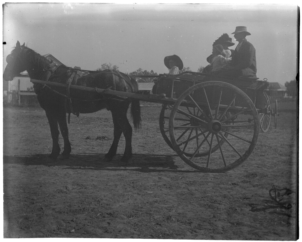 Family sitting in a horsedrawn wagon