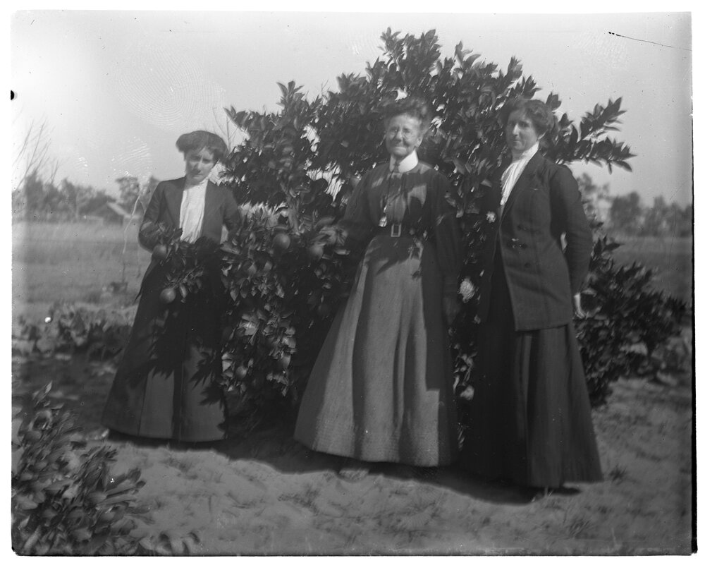 Three women standing in front of a fruit tree
