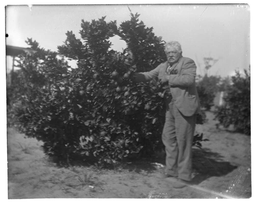 Man in front of a fruit tree