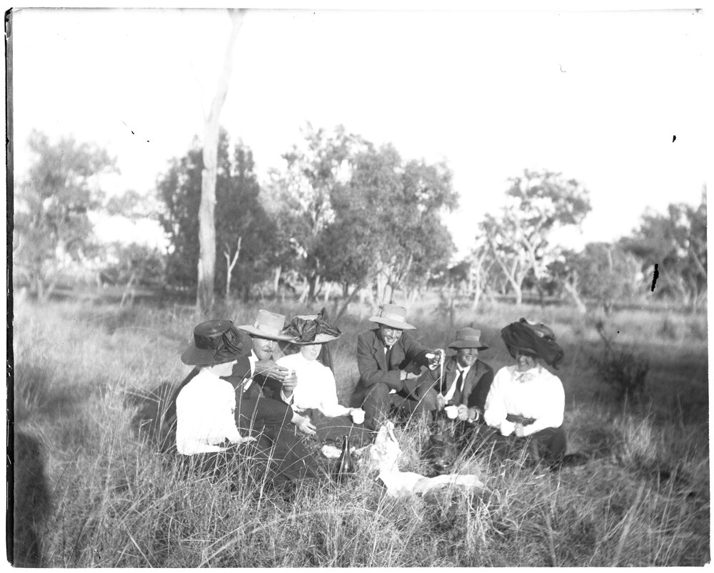 Picnic in the bush