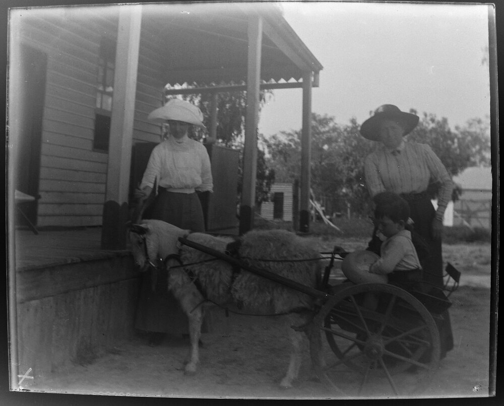 Boy in a goat-drawn buggy with two women standing nearby