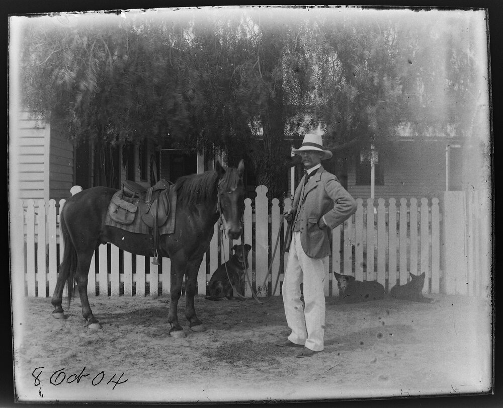 Man with horse and three dogs in front of a picket fence, 1904