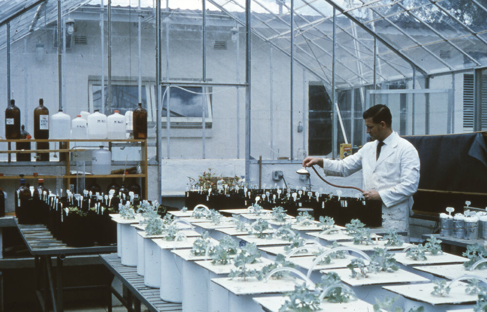 Plant research, UNE