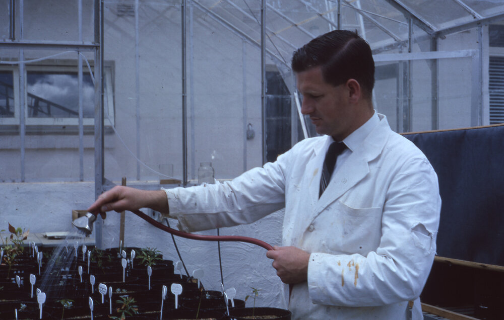 Plant research, UNE