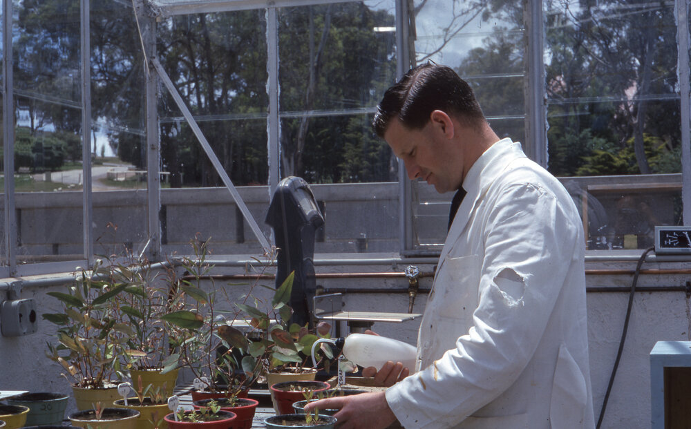 Plant research, UNE