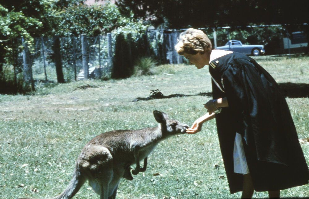 Student feeding a kangaroo at the Deer Park