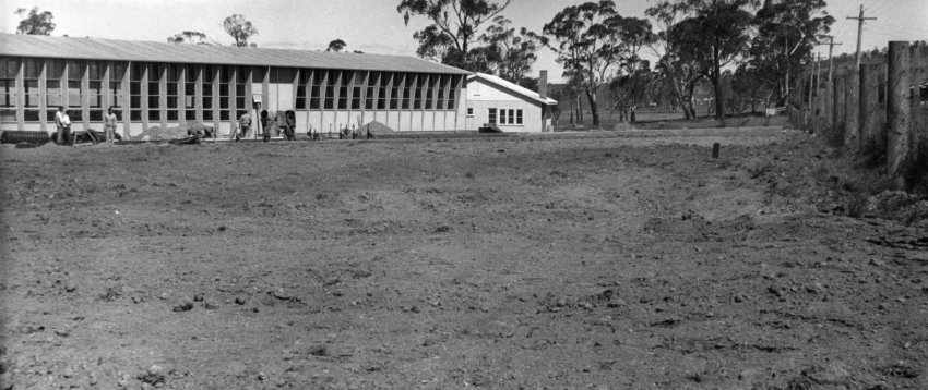 Armidale Teachers' College - Construction of Newling House, 1954 - dining room, domestic quarters