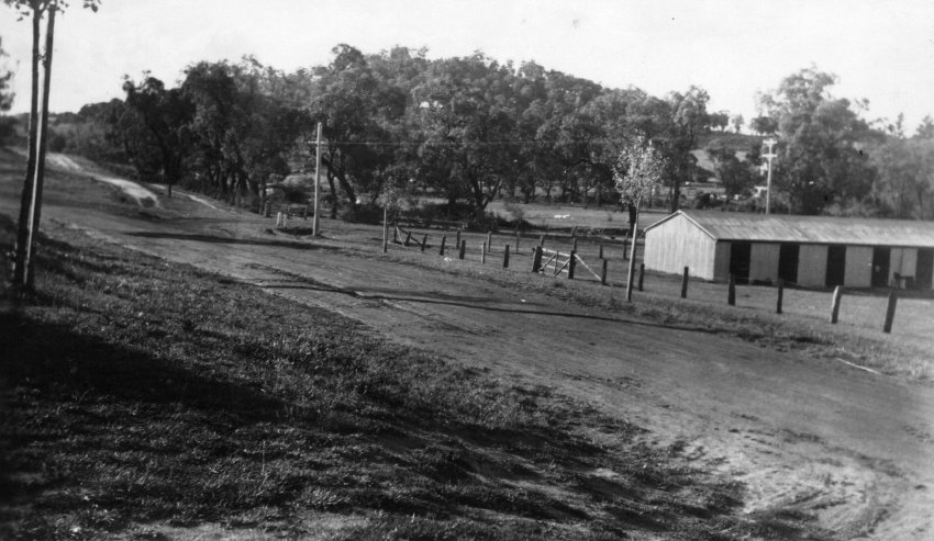 Wooded hills surrounding Uralla, a few yards from main street, 2 April 1945