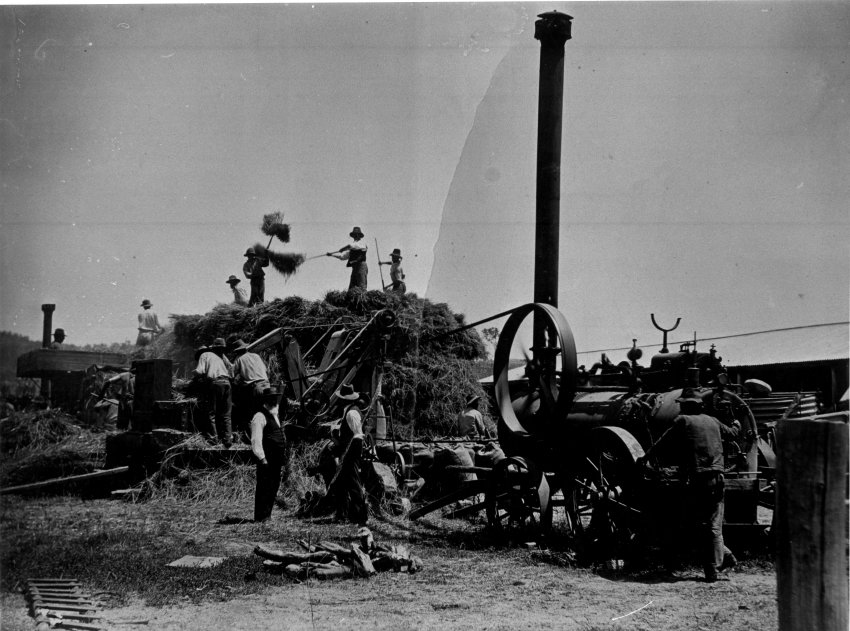 Threshing oats and making hay, "Cottesbrook", near Tenterfield, NSW
