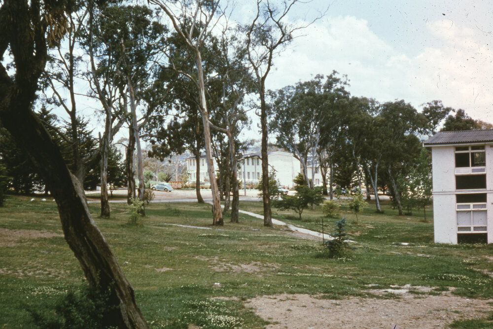 University grounds near Wright College, UNE
