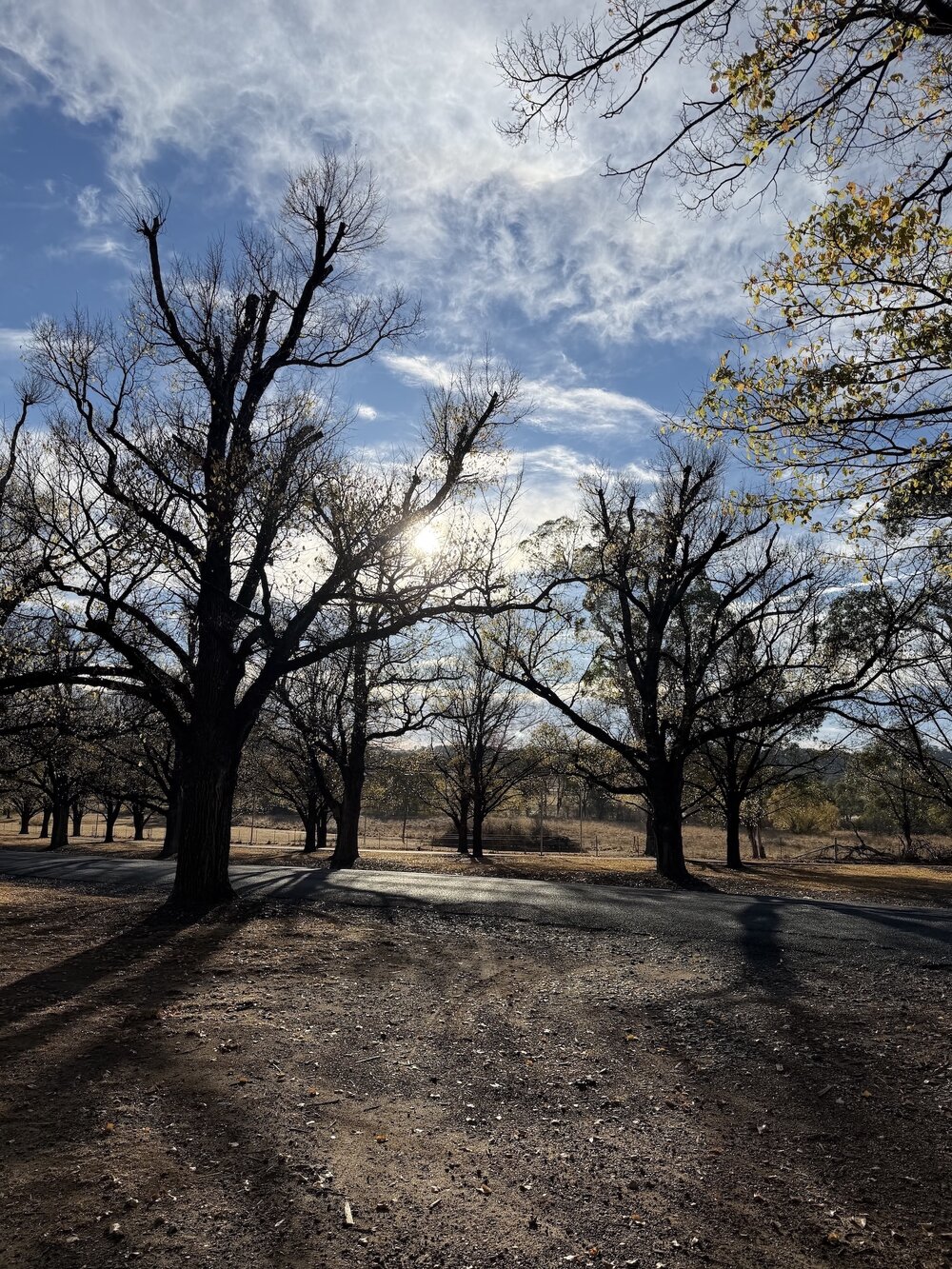 Anaiwan Country (Armidale, NSW) by Nadia Jelani