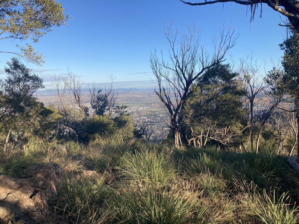 Kamilaroi Country (Tamworth, NSW) by Isabella Parker