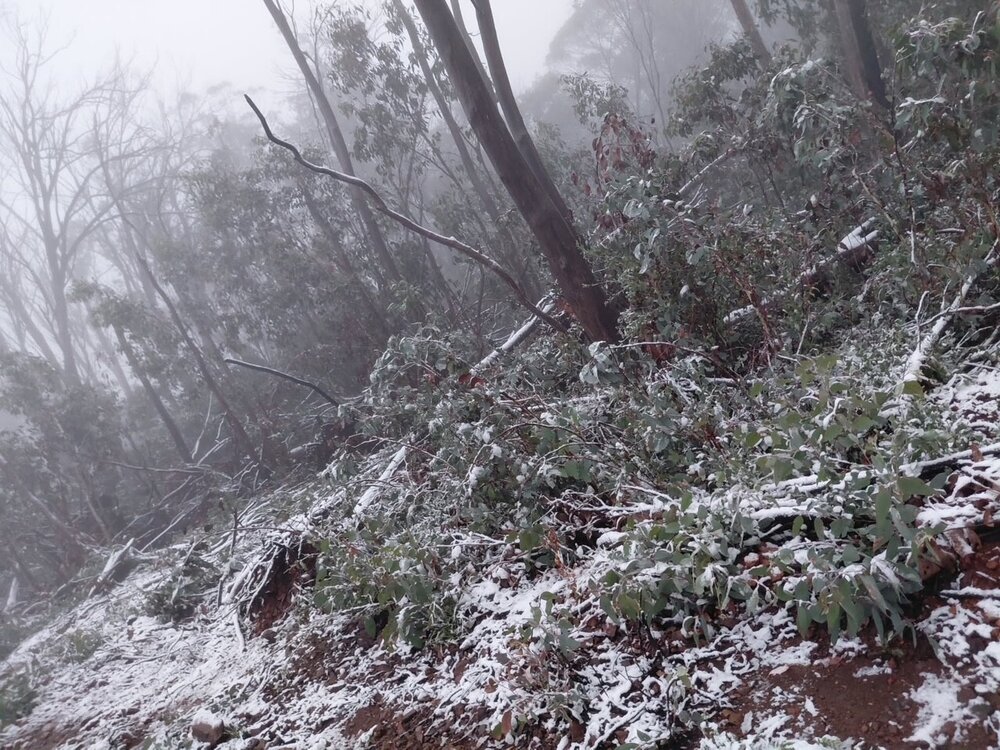Ngarigo Country (Snowy Valleys, NSW) by Megs Butz