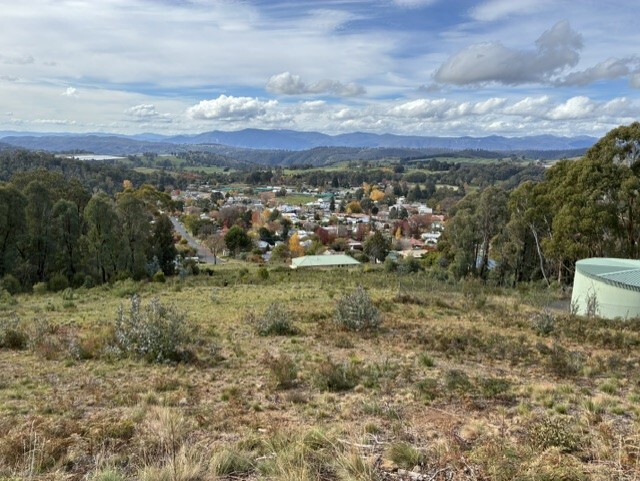 Ngarigo and Wiradjuri Country (Batlow, NSW) by Megs Butz