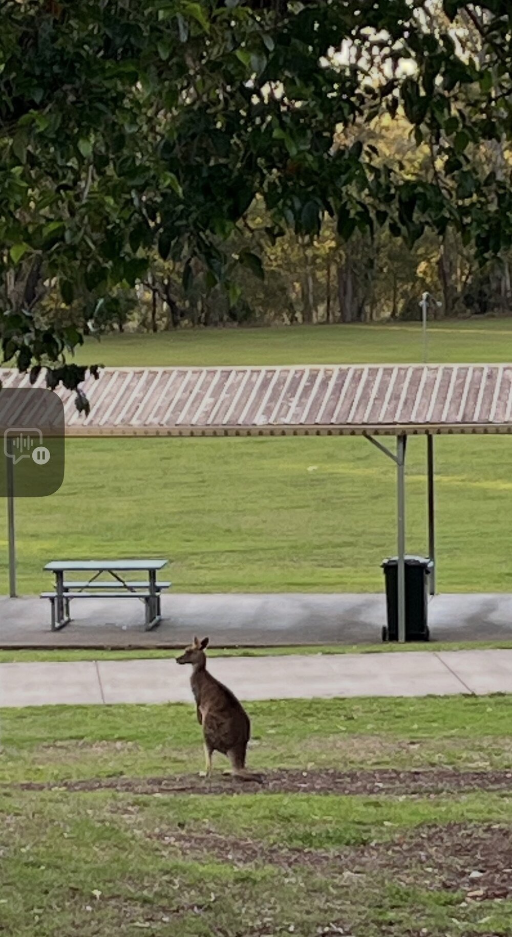 Turrbal Country (Brisbane, Qld) by Elissa Lott