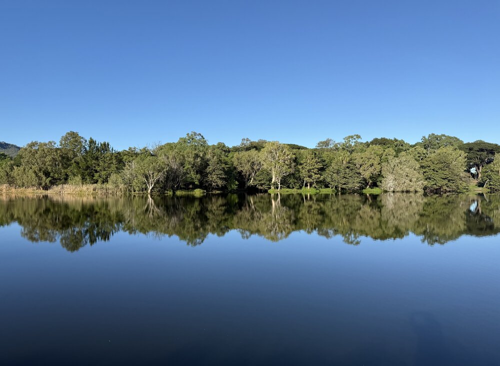 Bindal and Wulgurukaba Country (Townsville, Qld) by Caelan Malone