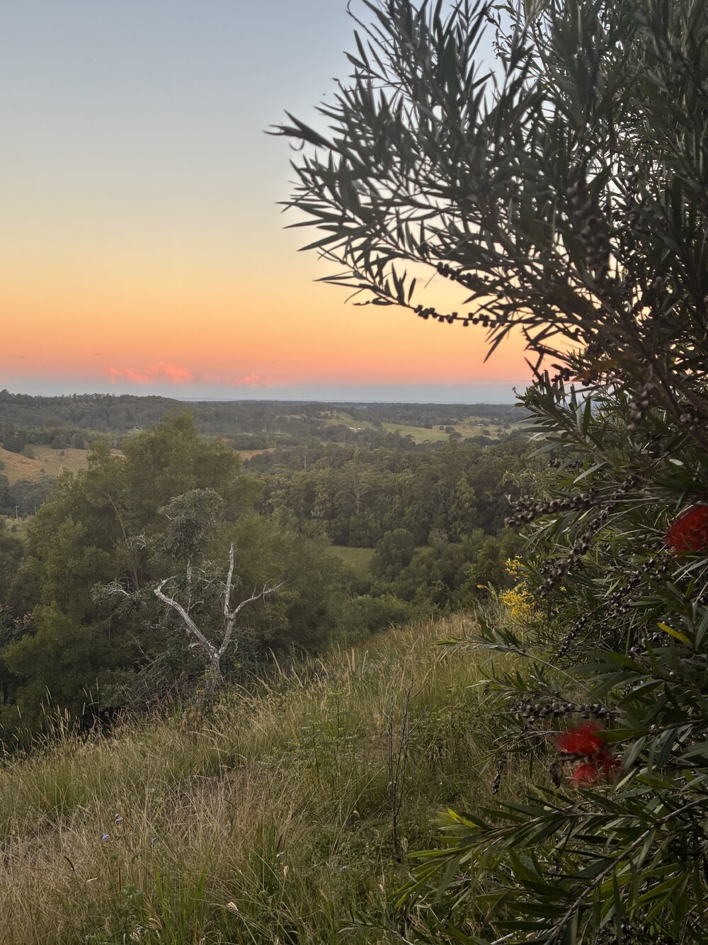 Gumbaynggirr Country (Nambucca Heads, NSW) by Agustina Roberts