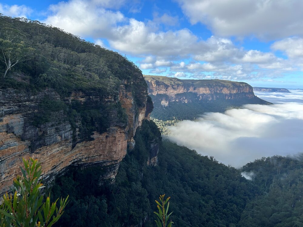Ngurra Country (Wentworth Falls, NSW) by Maurice Cheong