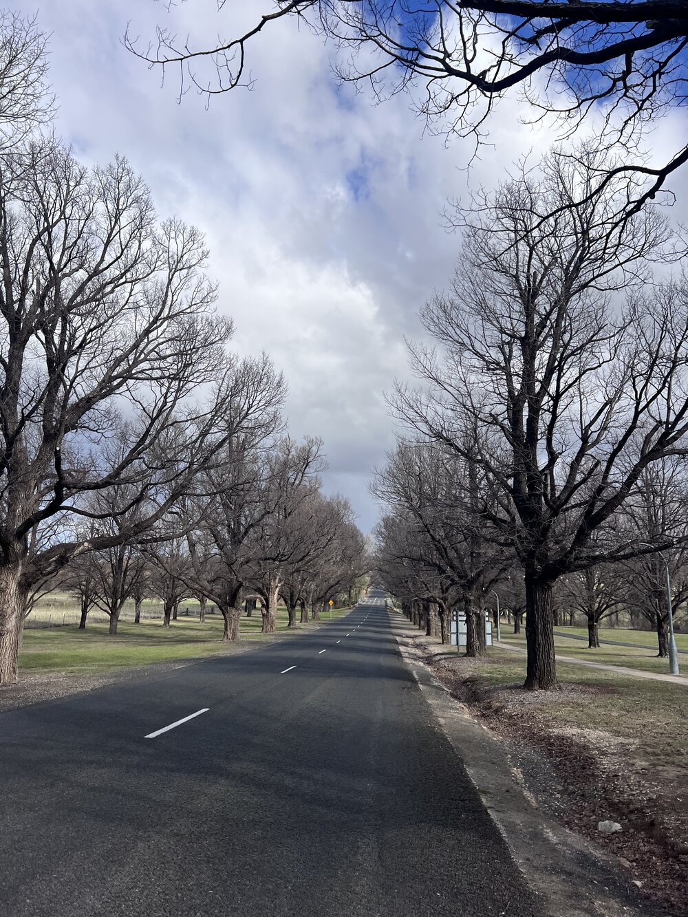 Anaiwan Country (Armidale, NSW) by Ishari Pahala Gamage