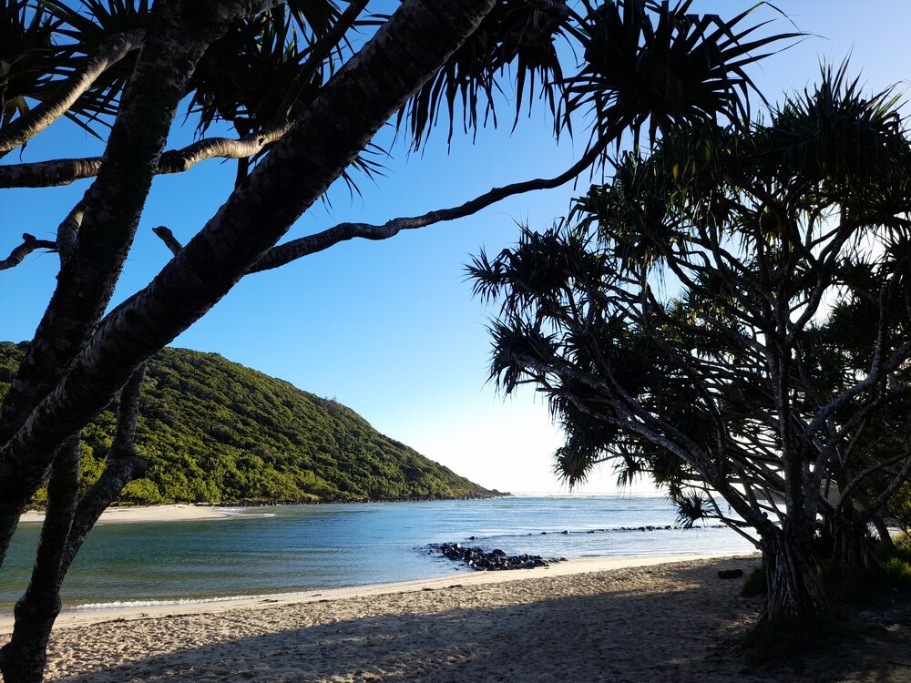 Kombumerri Country (Burleigh Heads, Qld) by Sherry Sayer