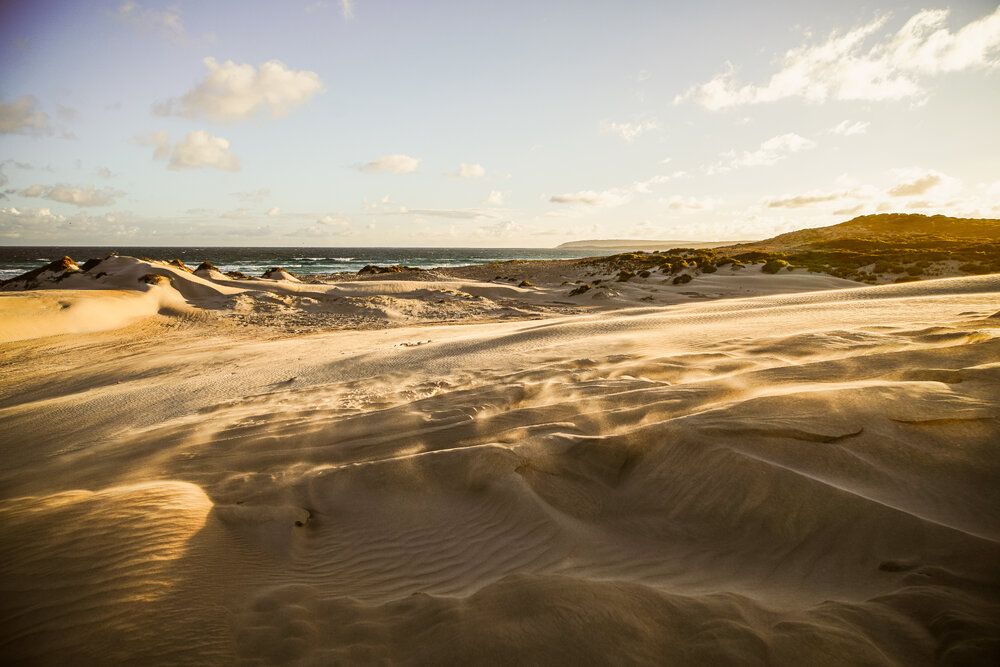 Barngarla Country (Wreck Beach, SA) by Chelsea Ross