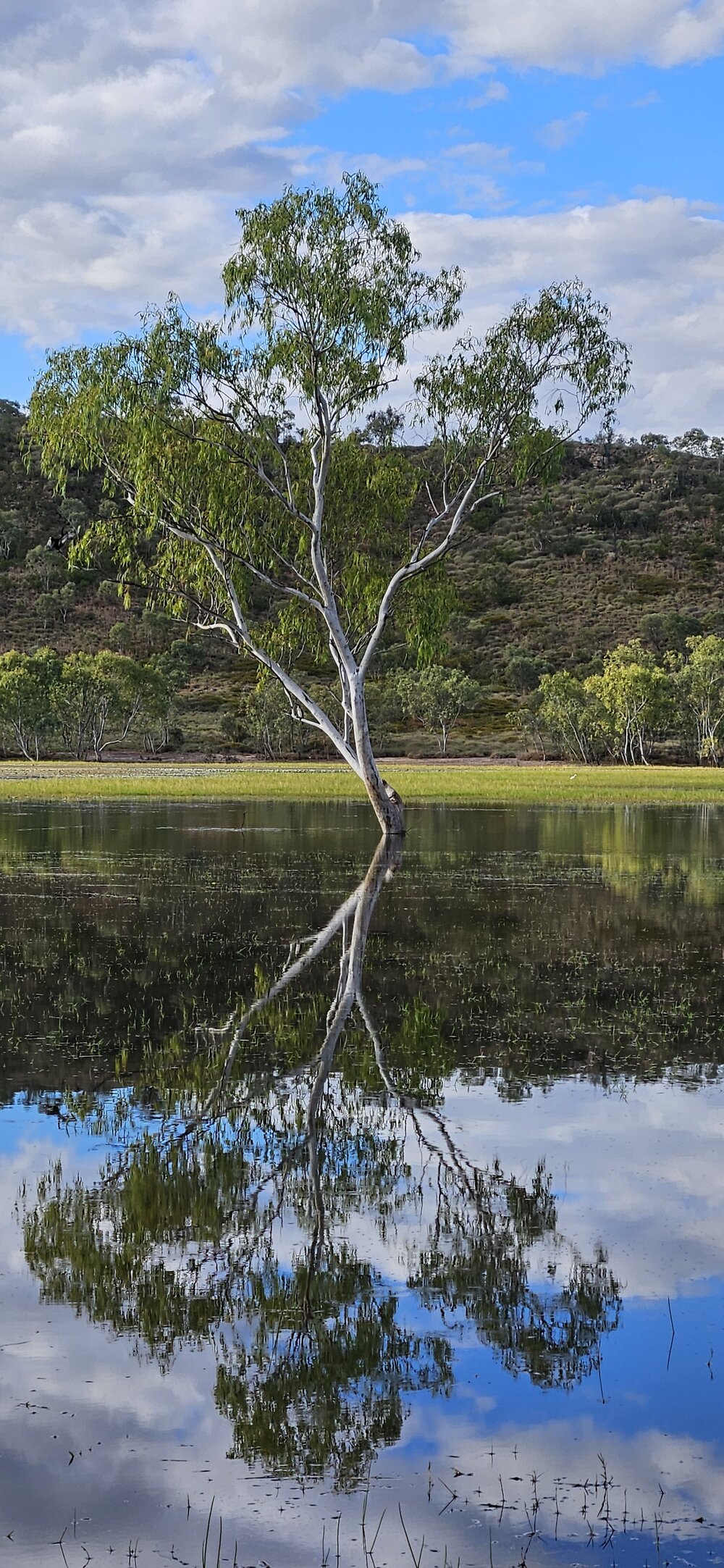 Kalkadoon Country (Mount Isa, Qld) by Jane Metcalfe